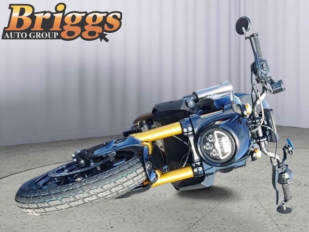 2019 INDIAN MOTOCYCLE FTR 1200 Race Replica Base