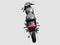 2019 KAWASAKI W800 Base