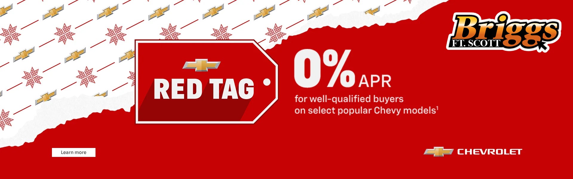 Briggs of Fort Scott GROUP